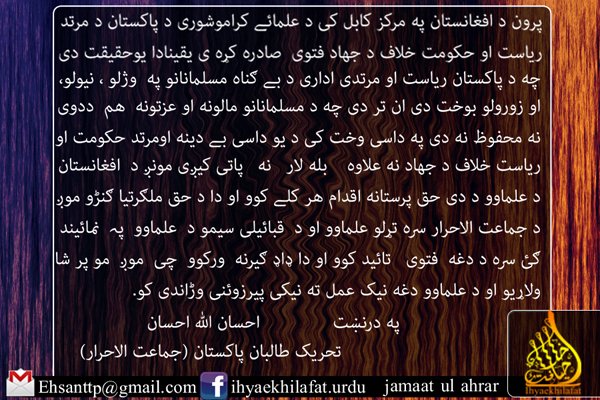 طالبان پاکستانی هم سو با علمای افغانستان