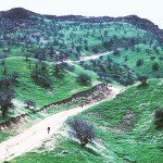 مدرسه‌ای در بادغیس، برای سوگواری ملأ عمر سوخت