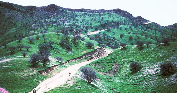 مدرسه‌ای در بادغیس، برای سوگواری ملأ عمر سوخت