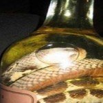 یک جوان در هرات مرگش را کلید زد