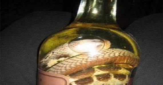 یک جوان در هرات مرگش را کلید زد