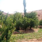 ۱۸ کشته در ولسوالی طیوره غور