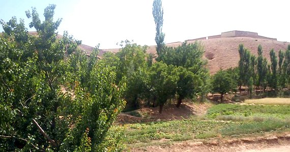 ۱۸ کشته در ولسوالی طیوره غور