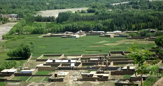 آزاد شدن مقام‌های ارشد ولسوالی چشت از قید مخالفان