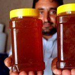 رونق کار زنبورداران در هرات