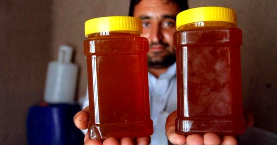 رونق کار زنبورداران در هرات