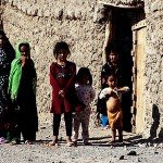 آغاز عملیات پولیس هرات در مسلخ