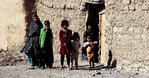 آغاز عملیات پولیس هرات در مسلخ