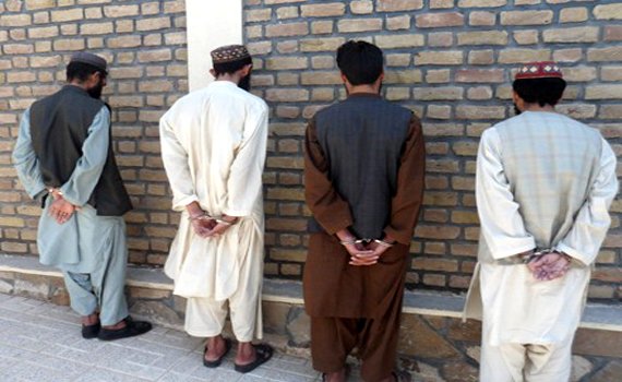 پولیس هرات ۵ طالب مسلح را بازداشت کرد