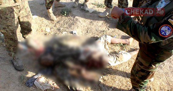 حمله مشترک فرماندهان طالبان و حزب اسلامی به ولایت فراه