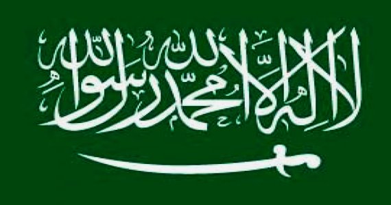 عربستان: ما می‌دانستیم که در فرانسه حملات تروریستی رخ می‌دهد