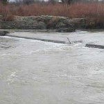 وزارت انرژی و آب: از کار ساخت بند پاشدان هرات ناراضی هستیم