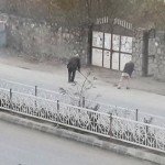 انتقاد باشندگان شهر فیروزکوه از ریاست شهرداری این ولایت