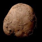 سیب‌زمینی یک میلیون دالری در تاریخ هنر