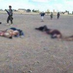 شب گذشته، شب خونین برای طالبان در بادغیس