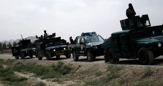 عملیات پولیس هرات ۱۰ مخالف را به زندان انداخت