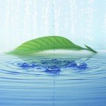 تکنیک هایی برای رسیدن آرامش