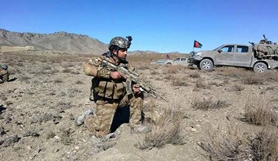 عملیات پاک‌سازی پولیس هرات یک‌تن را به کام مرگ کشاند