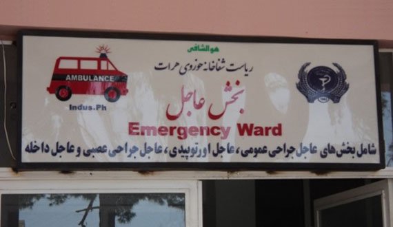 قربانیان جنگ در غور، بادغیس و فراه را به هرات منتقل می‌کنند