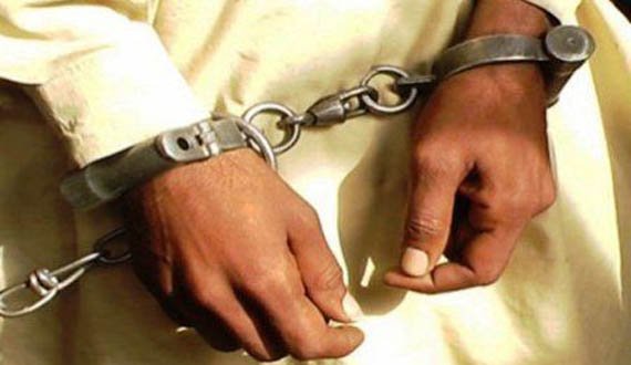 ولسوال نام نهاد طالبان در کاپیسا بازداشت شد