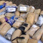 کشف بیش از ۲۰۰ کیلو گرام مواد مخدر در غزنی