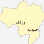 ۲ فرمانده طالبان در میدان وردک کشته شدند