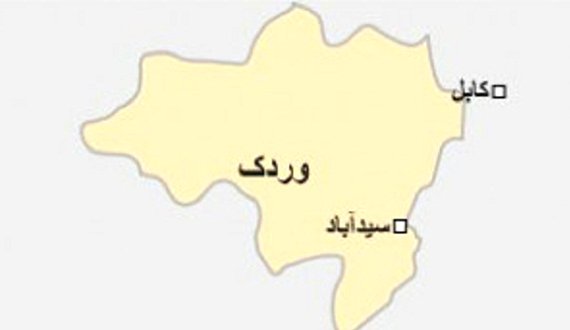 ۲ فرمانده طالبان در میدان وردک کشته شدند