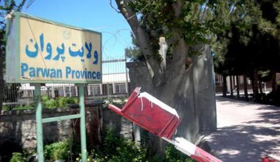 ۳۵۰ سردخانه در ولایت پروان اعمار شد