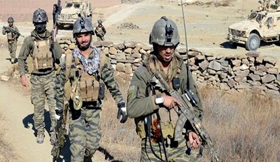 ۳۸ کشته و ۱۱ زخمی؛ تلفات تازه طالبان در کشور