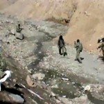 عملیات نظامیان افغان بار دیگر به داعشیان تلفات وارد کرد