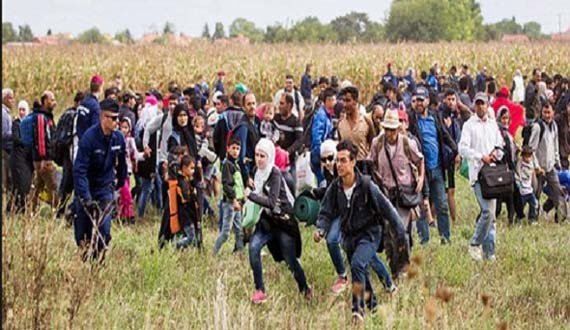 وزارت خارجه: مهاجرین افغان باید با هماهنگی ما از آلمان اخراج شوند