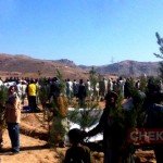 تکه سبز به دامن تخت سفر پیوند زده شد