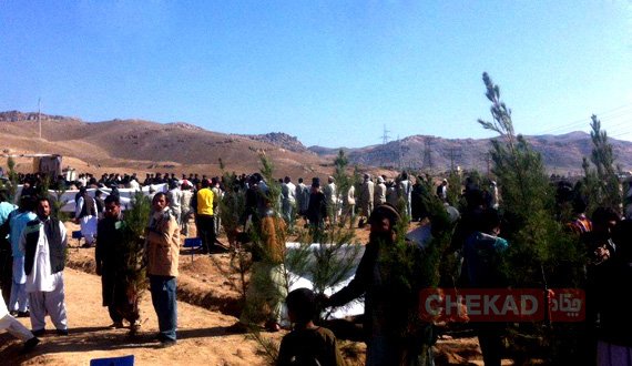 تکه سبز به دامن تخت سفر پیوند زده شد