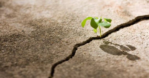 هیچ گاه نباید در برابر سختی ها تسلیم شد