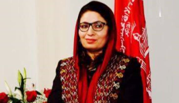 یک زن افغان برای نخستین بار کمیشنر سازمان همکاری‌های اسلامی شد