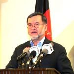 دانش: سال جاری سال نا بودی طالبان است