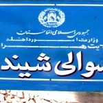 طالبان یک کارمند معارف را در هرات تیرباران کردند