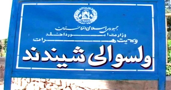 طالبان یک کارمند معارف را در هرات تیرباران کردند