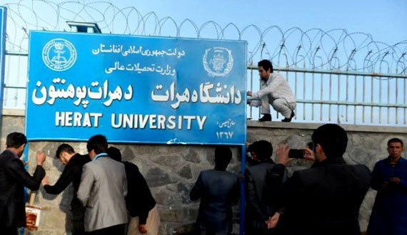 پوهنتون و دانشگاه دردسر تازۀ محصلان در هرات