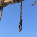 افراد اعدام‌شده، کی ها بودند؟