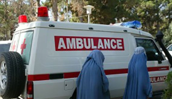 تروریستان در هرات این باریک زن ۵۰ ساله را ترور کردند