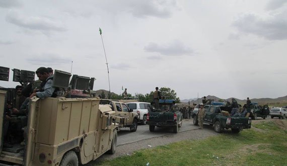 ملا ولی عمر زی، فرمانده مشهور طالبان در هرات کشته شد