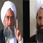کبوتر با کبوتر، باز با باز، کند هم‌جنس با هم‌جنس پرواز
