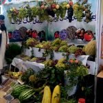افتتاح نمایشگاه محصولات زراعتی حوزه غرب کشور در هرات