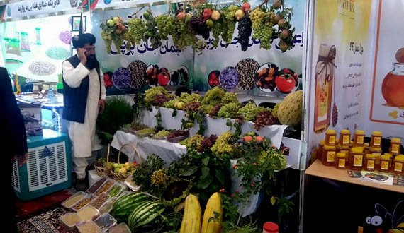 افتتاح نمایشگاه محصولات زراعتی حوزه غرب کشور در هرات