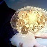 موفقیت مغز را با انجام این کارها تضمین کنید!