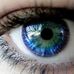 بیایید بدانیم که چشم انسان چه رنگ‌هایی را نمی‌بیند؟