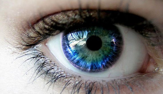 بیایید بدانیم که چشم انسان چه رنگ‌هایی را نمی‌بیند؟