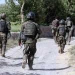 نیروهای کماندو در هرات یک فرمانده شورشی را بازداشت کردند