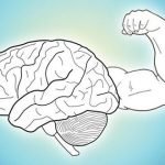 چگونه مغزی قوی و سالم داشته باشیم؟